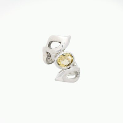 Anillo Hojas Bold