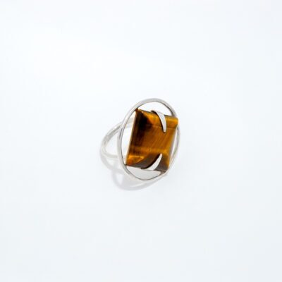 Anillo Órbita
