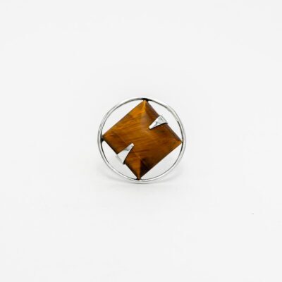 Anillo Órbita